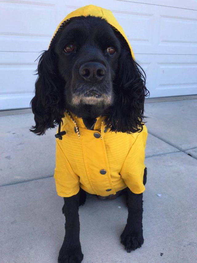 daily picdump 93 pics 35.html - 93 HD Photos | Premium Gallery 2017