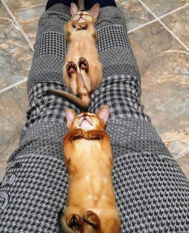 daily picdump 93 pics 35.html - 93 HD Photos | Premium Gallery 2017