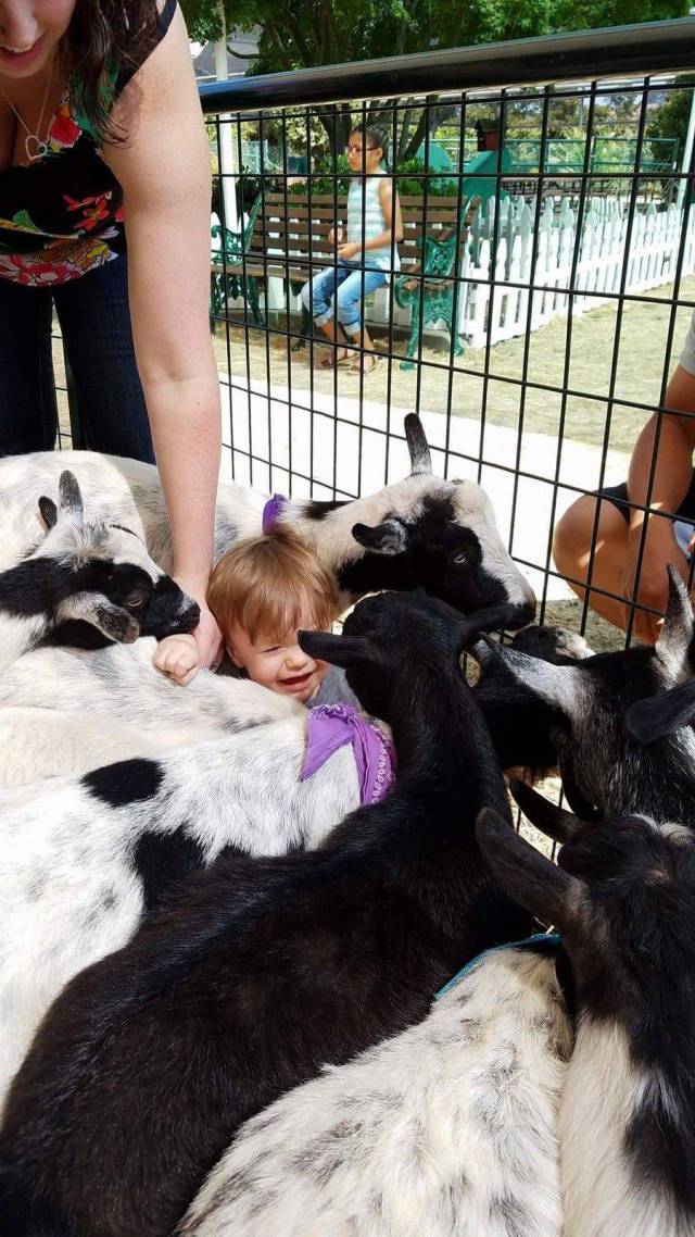 daily picdump 93 pics 35.html - 93 HD Photos | Premium Gallery 2017