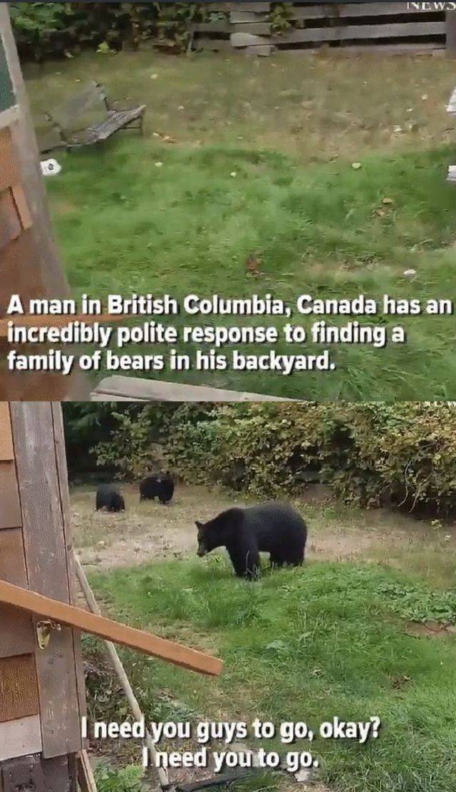 daily picdump 93 pics 35.html - 93 HD Photos | Premium Gallery 2017