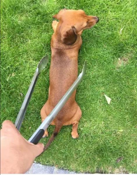 Morning Picdump