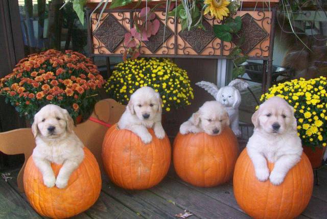 morning picdump 53 pics 3.html - 53 HD Photos | Premium Gallery 2017