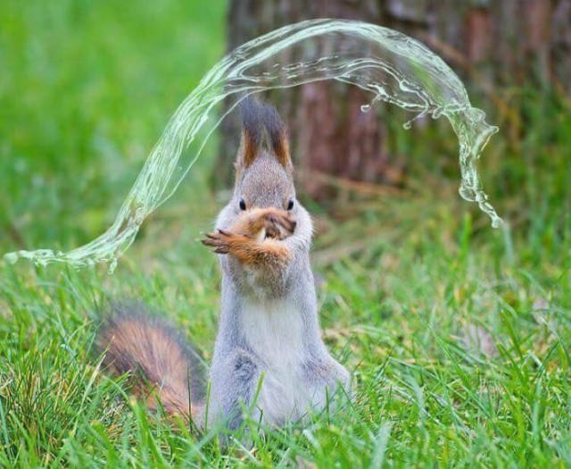 morning picdump 53 pics 3.html - 53 HD Photos | Premium Gallery 2017