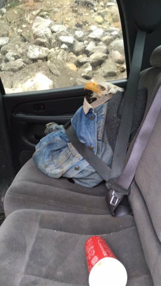 morning picdump 53 pics 3.html - 53 HD Photos | Premium Gallery 2017