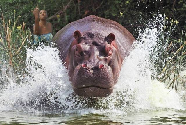 daily picdump 89 pics 35.html - 89 HD Photos | Premium Gallery 2017