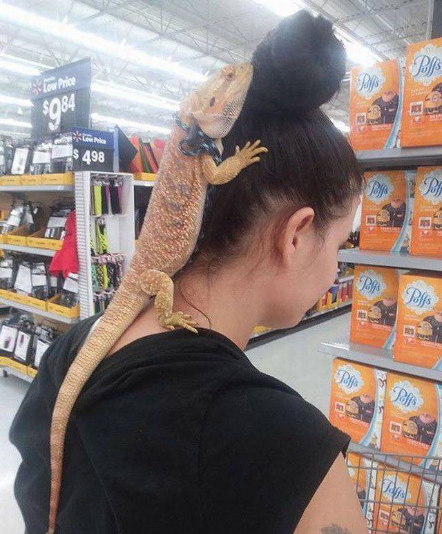 Daily Picdump