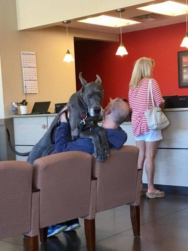 daily picdump 89 pics 35.html - 89 HD Photos | Premium Gallery 2017