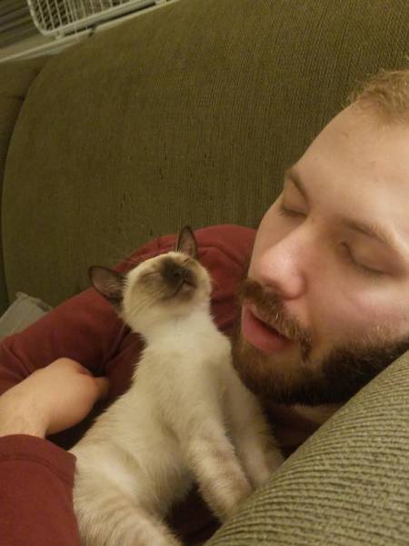 daily picdump weekend edition 54 pics 5.html - 54 HD Photos | Premium Gallery 2017