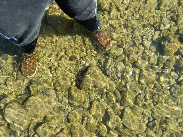 daily picdump weekend edition 54 pics 5.html - 54 HD Photos | Premium Gallery 2017