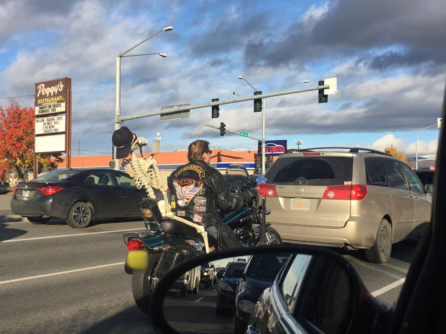 daily picdump weekend edition 54 pics 5.html - 54 HD Photos | Premium Gallery 2017