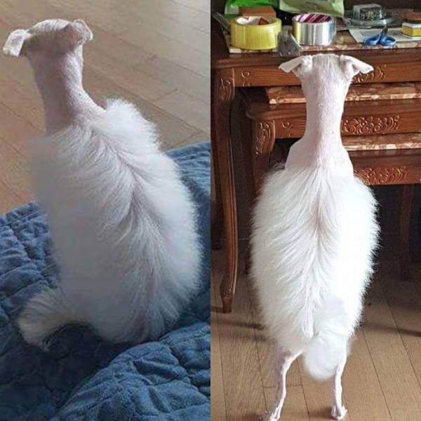 daily picdump weekend edition 54 pics 5.html - 54 HD Photos | Premium Gallery 2017