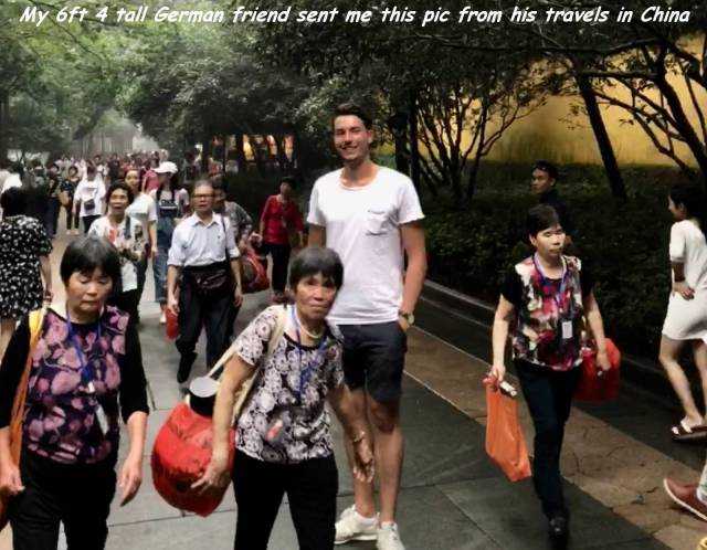 daily picdump 102 pics 9.html - 102 HD Photos | Premium Gallery 2017