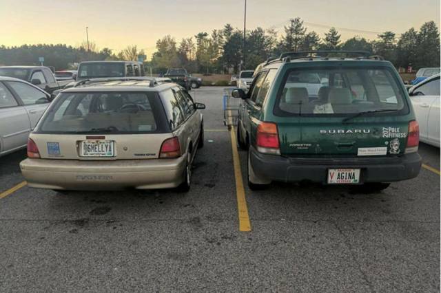 daily picdump 102 pics 9.html - 102 HD Photos | Premium Gallery 2017