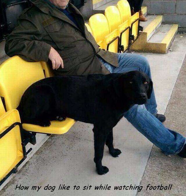 daily picdump 102 pics 9.html - 102 HD Photos | Premium Gallery 2017