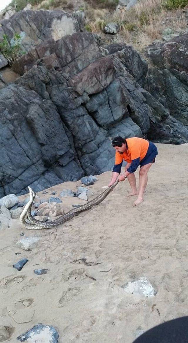 daily picdump 102 pics 9.html - 102 HD Photos | Premium Gallery 2017