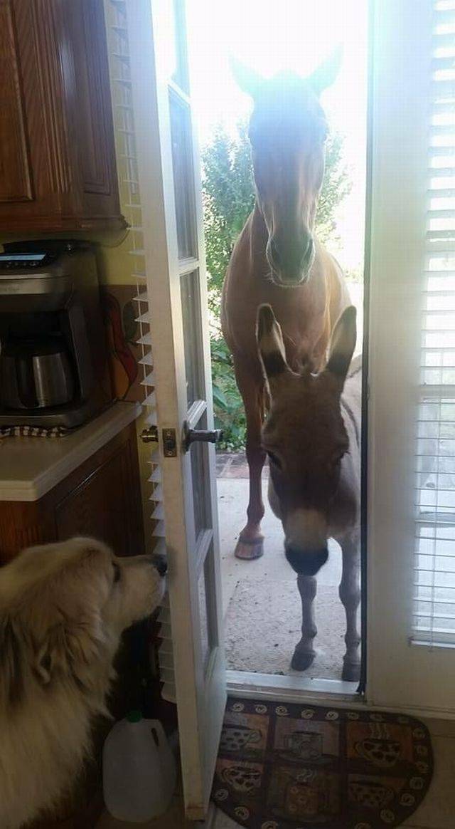 daily picdump 102 pics 9.html - 102 HD Photos | Premium Gallery 2017