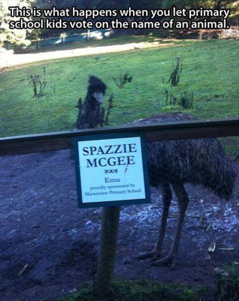 Australia: Yes Or No? Hard Decision!