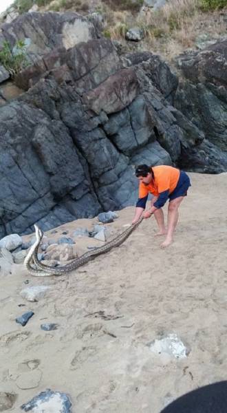 Australia: Yes Or No? Hard Decision!