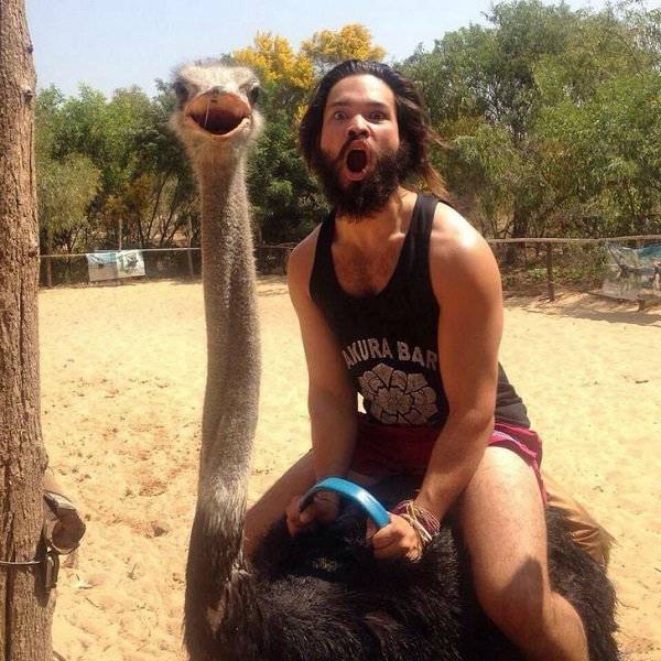 Australia: Yes Or No? Hard Decision!