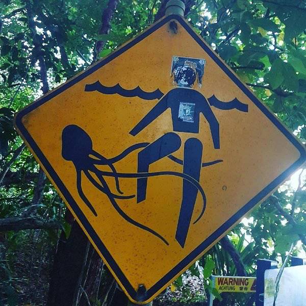 Australia: Yes Or No? Hard Decision!