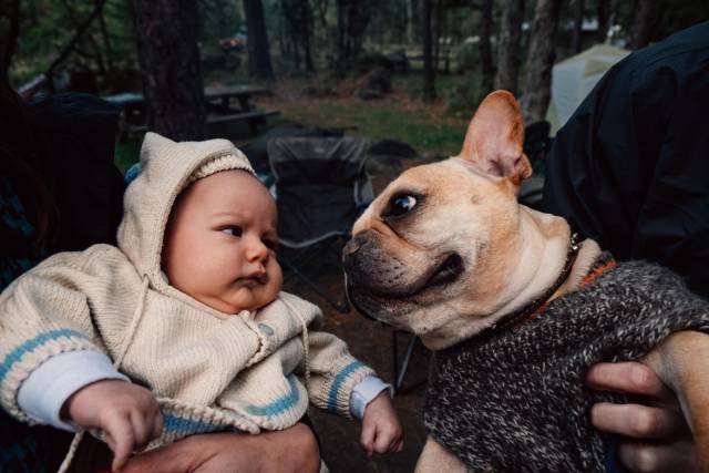 daily picdump 95 pics 27.html - 95 HD Photos | Premium Gallery 2017