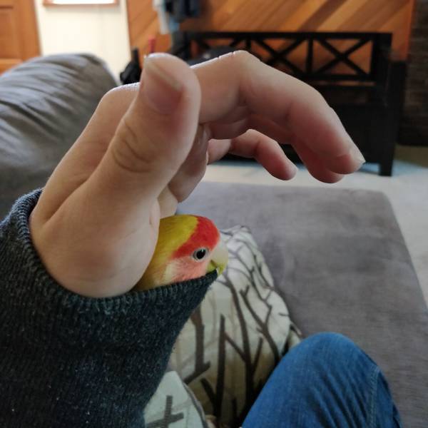 daily picdump 95 pics 27.html - 95 HD Photos | Premium Gallery 2017