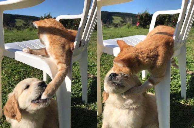 daily picdump 95 pics 27.html - 95 HD Photos | Premium Gallery 2017