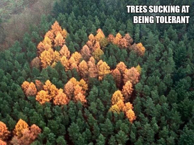 daily picdump 95 pics 27.html - 95 HD Photos | Premium Gallery 2017