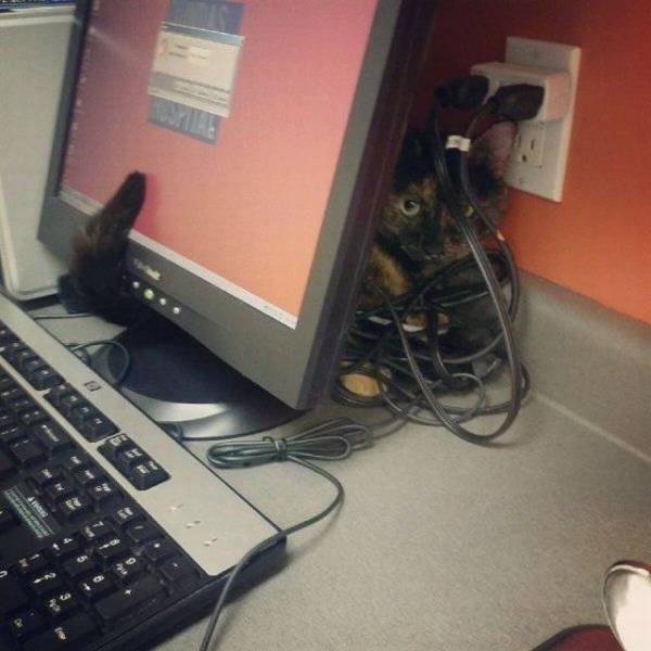 daily picdump 95 pics 27.html - 95 HD Photos | Premium Gallery 2017