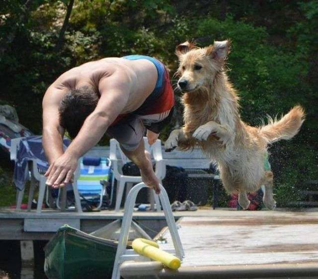 daily picdump 95 pics 27.html - 95 HD Photos | Premium Gallery 2017