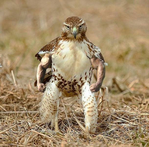 daily picdump 95 pics 27.html - 95 HD Photos | Premium Gallery 2017