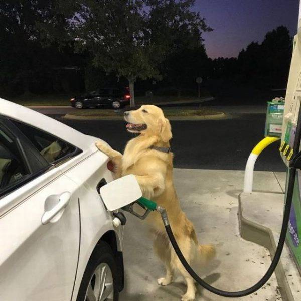 daily picdump 95 pics 27.html - 95 HD Photos | Premium Gallery 2017