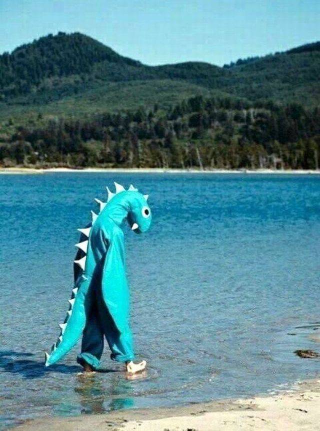 daily picdump 95 pics 27.html - 95 HD Photos | Premium Gallery 2017