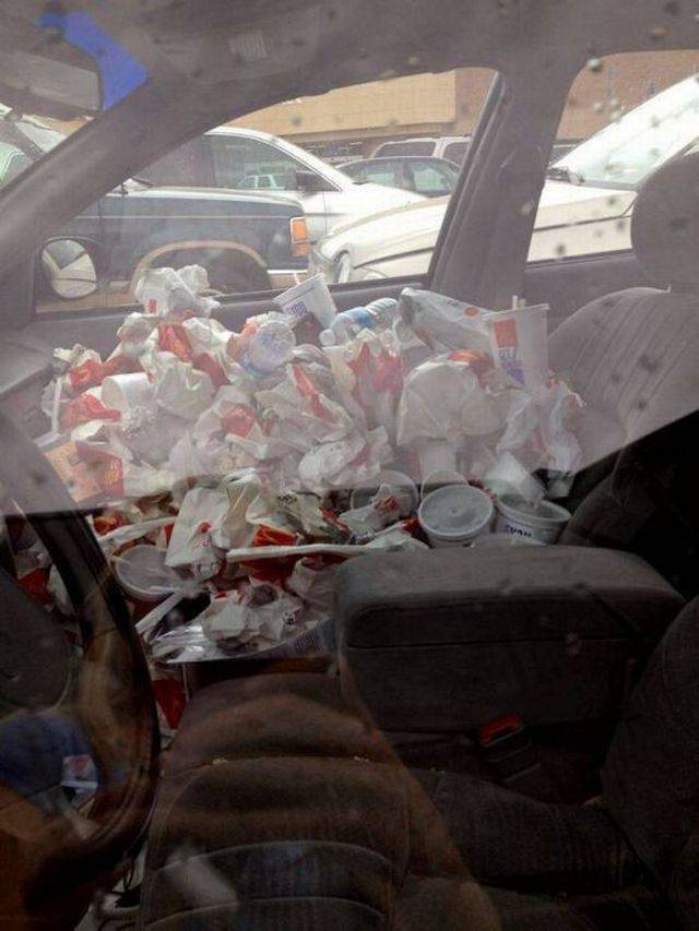 daily picdump 95 pics 27.html - 95 HD Photos | Premium Gallery 2017