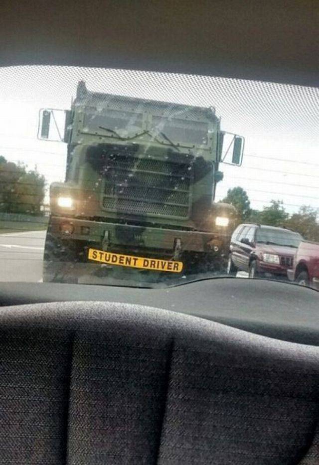 daily picdump 95 pics 27.html - 95 HD Photos | Premium Gallery 2017