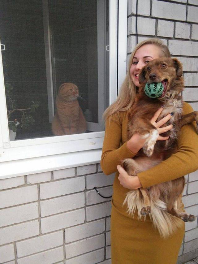 daily picdump 95 pics 27.html - 95 HD Photos | Premium Gallery 2017