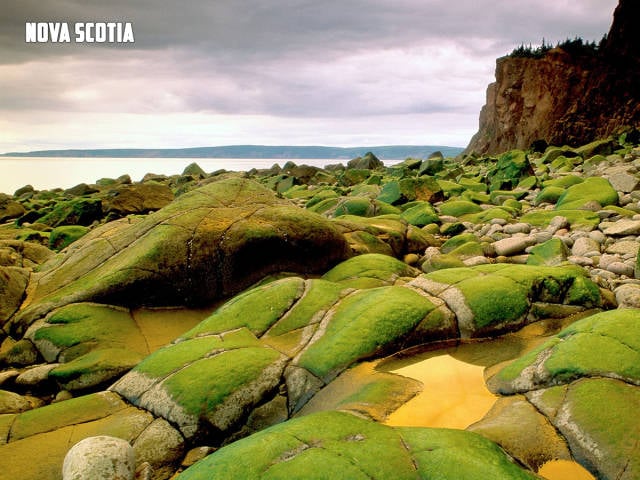 morning picdump 51 pics 19.html - 51 HD Photos | Premium Gallery 2017