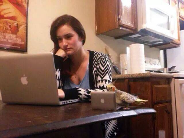 morning picdump 51 pics 19.html - 51 HD Photos | Premium Gallery 2017