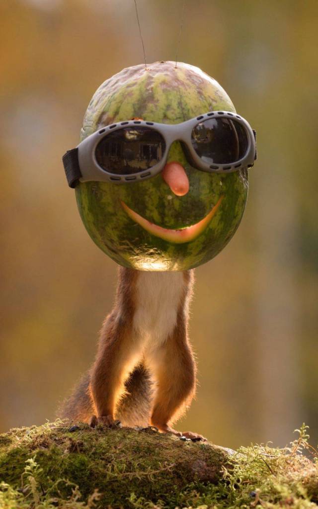 daily picdump 97 pics 31.html - 97 HD Photos | Premium Gallery 2017