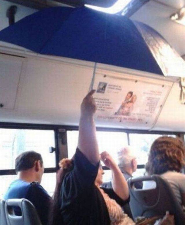 daily picdump 97 pics 31.html - 97 HD Photos | Premium Gallery 2017