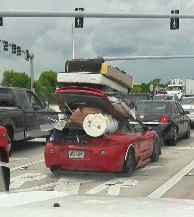 daily picdump 97 pics 31.html - 97 HD Photos | Premium Gallery 2017