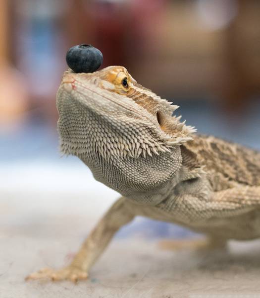 morning picdump 50 pics 17.html - 50 HD Photos | Premium Gallery 2017