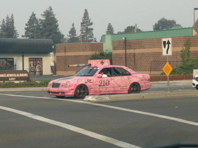 morning picdump 50 pics 17.html - 50 HD Photos | Premium Gallery 2017