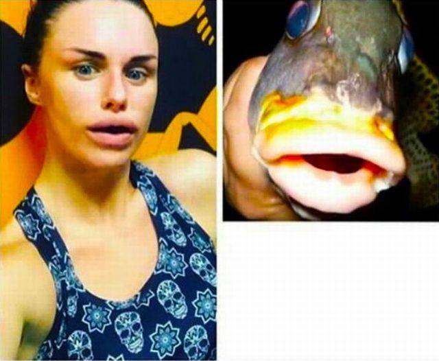 Daily Picdump