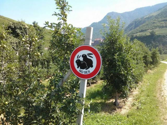 daily picdump 92 pics 16.html - 92 HD Photos | Premium Gallery 2017