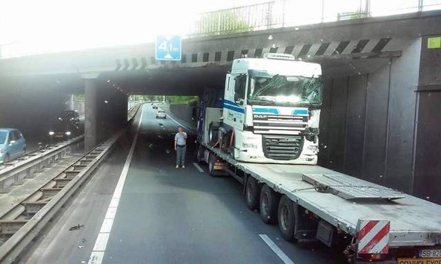 daily picdump 92 pics 16.html - 92 HD Photos | Premium Gallery 2017