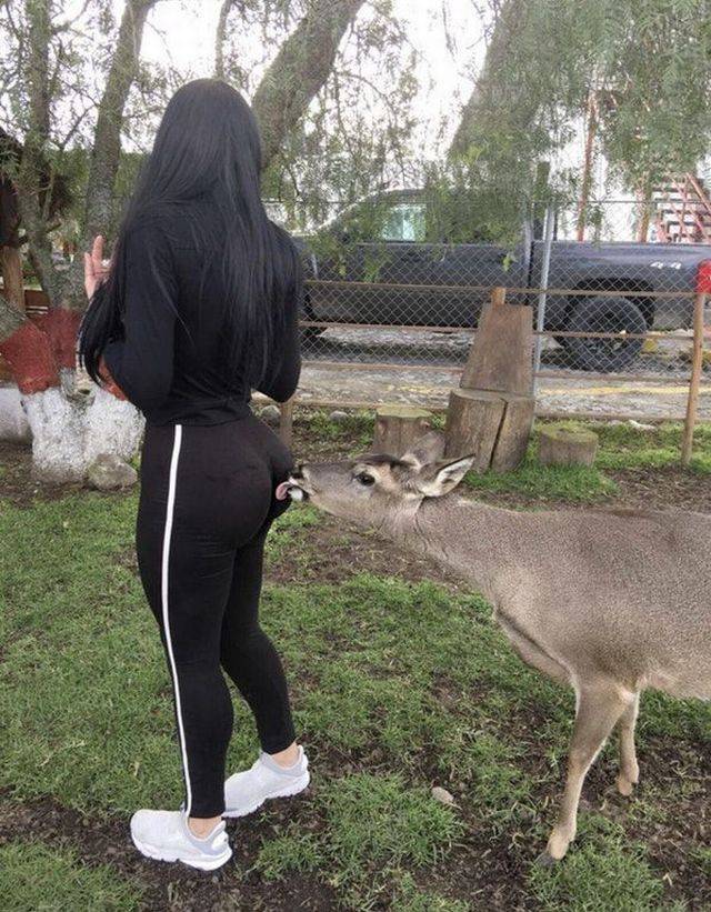 grownup corner 60 pics 3 gifs 3.html - 60 HD GIF | Premium Gallery 2017