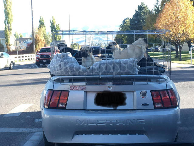 morning picdump 50 pics 12.html - 50 HD Photos | Premium Gallery 2017