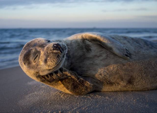 morning picdump 50 pics 12.html - 50 HD Photos | Premium Gallery 2017