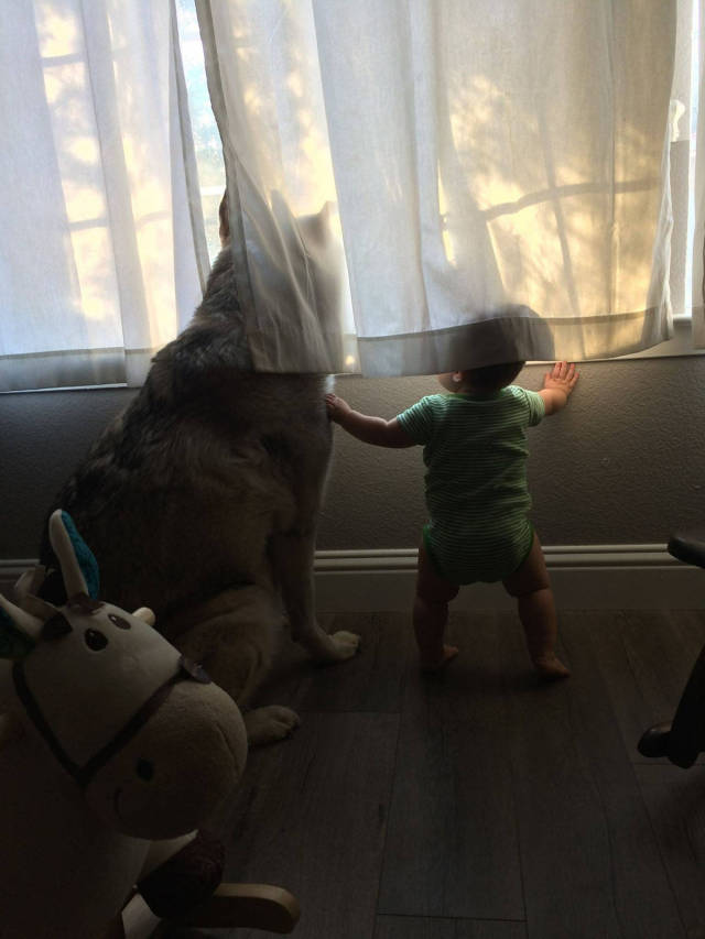 morning picdump 50 pics 12.html - 50 HD Photos | Premium Gallery 2017